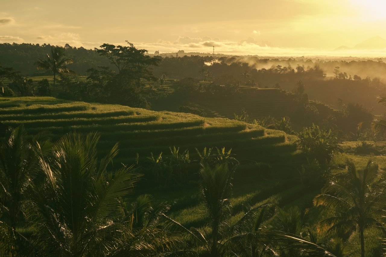 Ubud